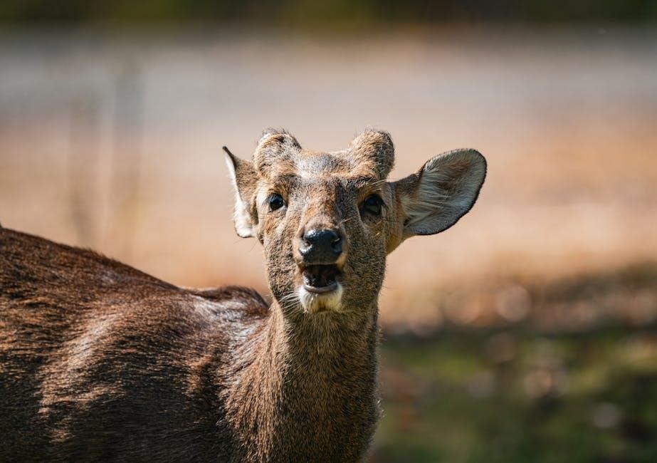 john deere 7000 planter manual pdf free download post thumbnail image